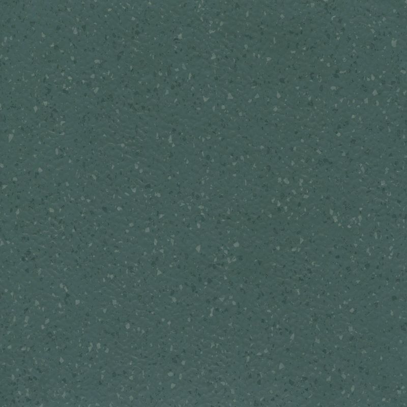 ノラメント - 5275