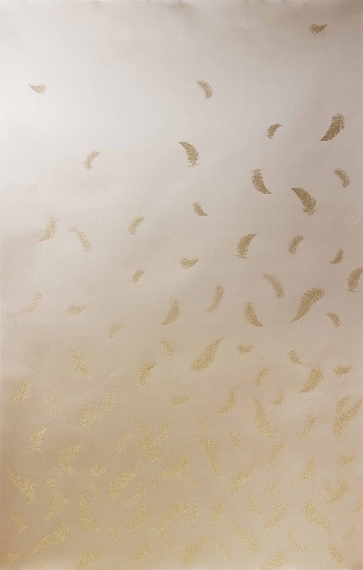 商品画像 1