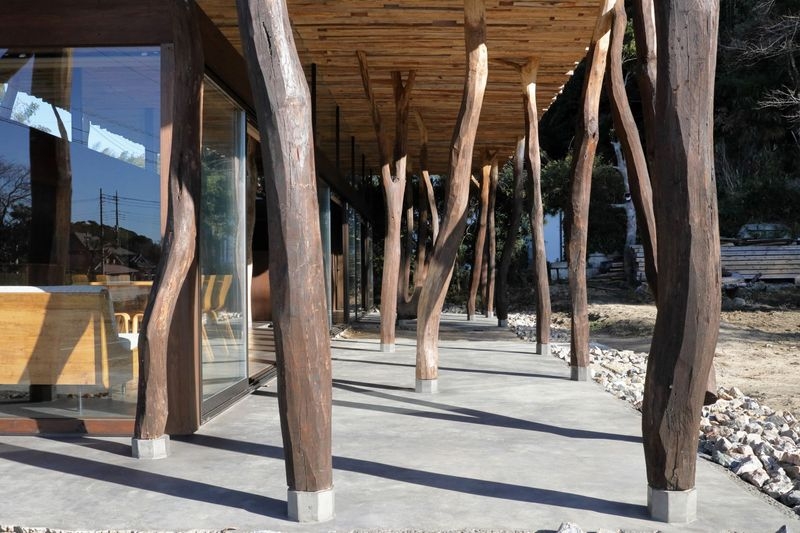 里山だった場所と融合する家