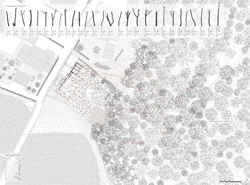 配置図及び平面図　自然木の採取位置とそれぞれの3Dスキャン