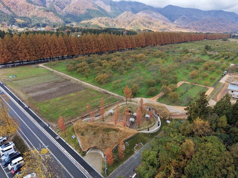 メタセコイアと馬の森