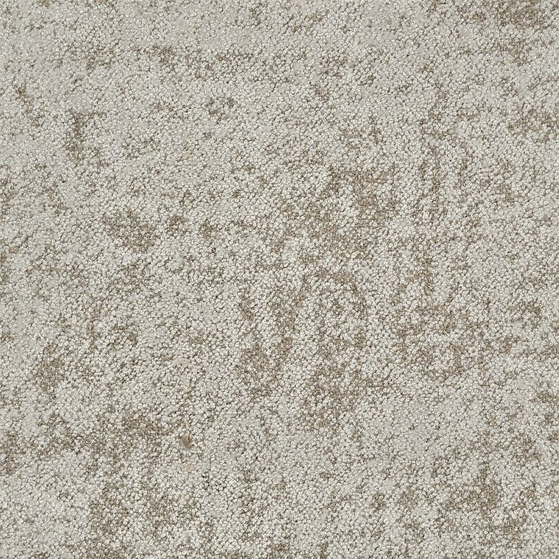 タピス スグラフィート - TZ11-704