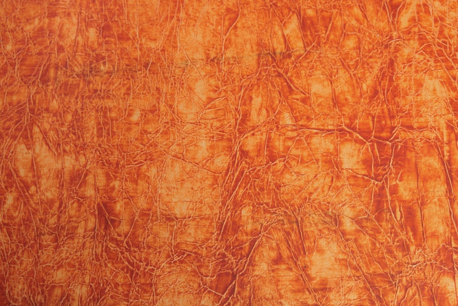 MOMI orange