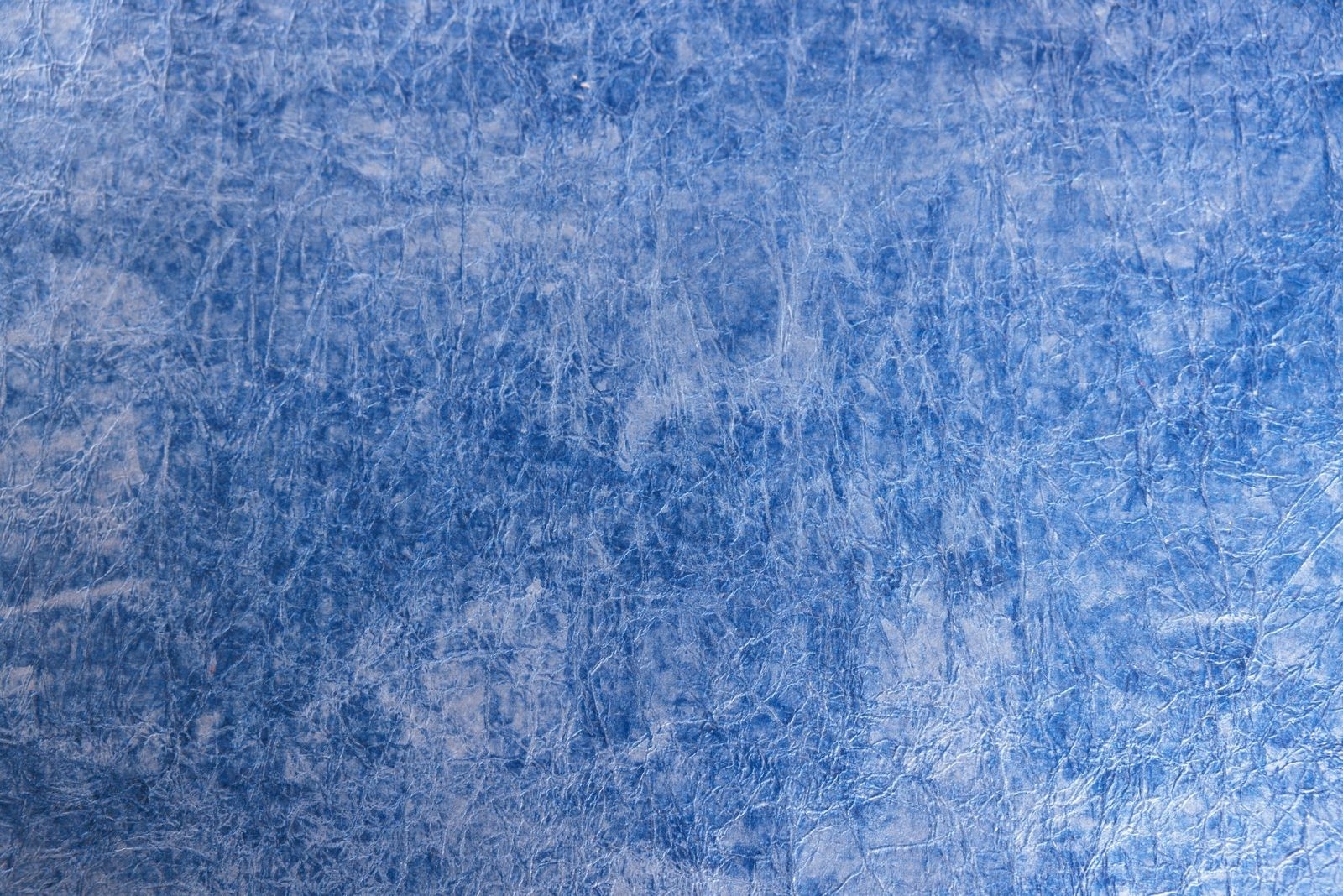 MOMI blue