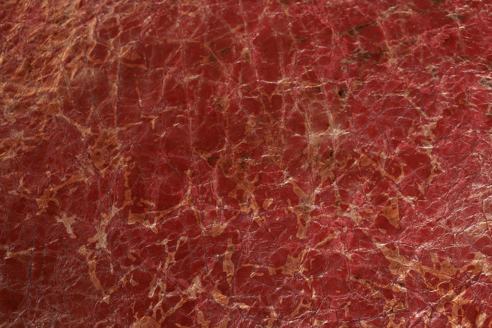 MOMI big reddish brown