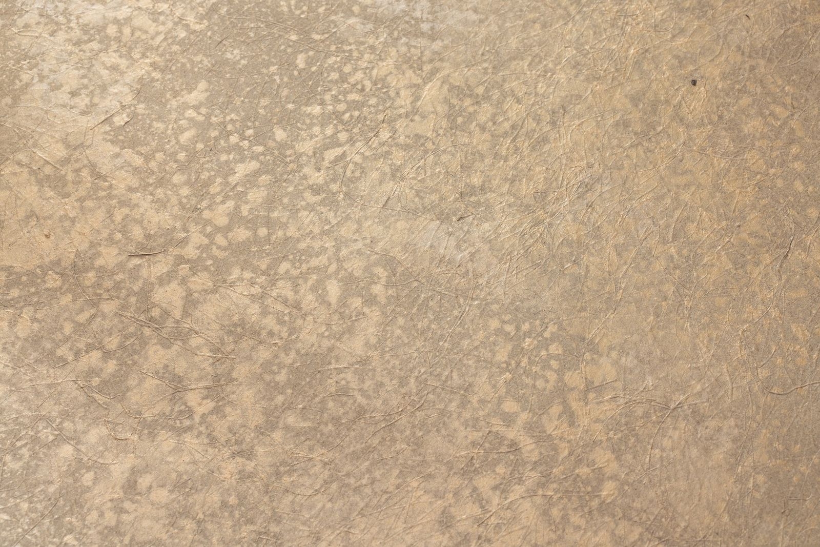 Champagne rust