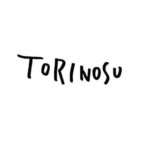 トリノス建築計画