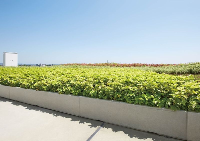 トーシンプランター/GRC - TLCパネル　カコッタ