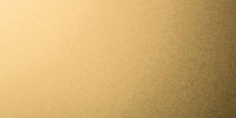 カラーステンレス - NSKC-V11MCD