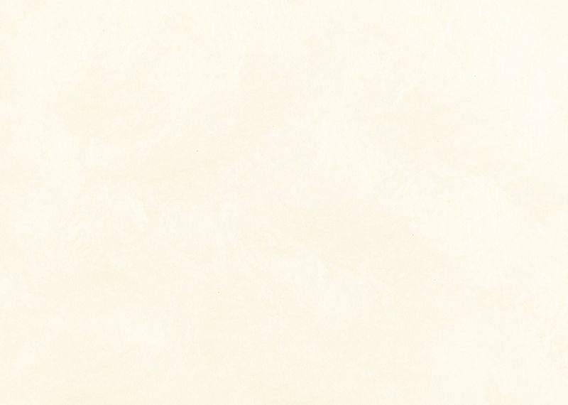 桂セレクションvol.2/越前手漉 雲肌紙 - 乳白色