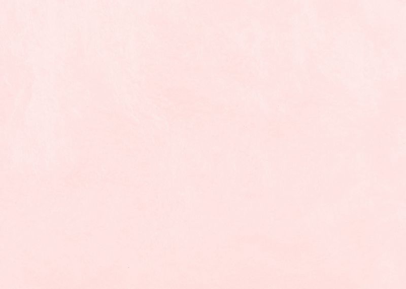 桂セレクションvol.2/越前手漉 雲肌紙 - 一斤染色