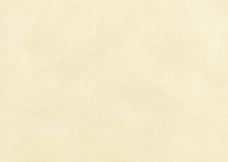 桂セレクションvol.2/越前手漉 雲肌紙 - 鳥の子色
