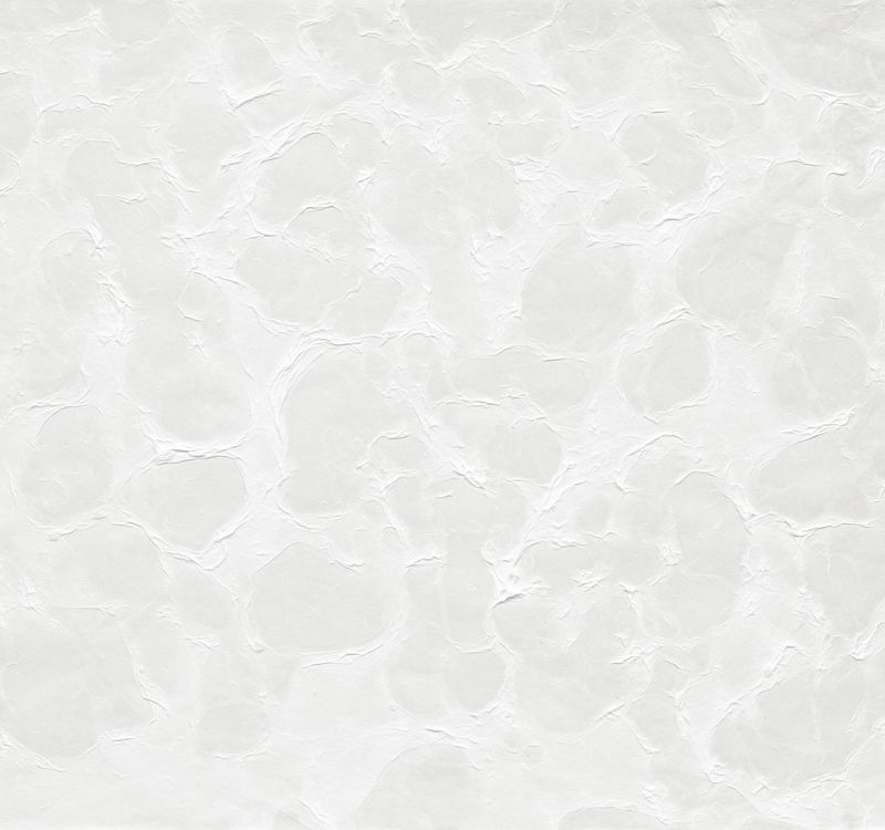 桂セレクションvol.2/越前手漉 万華鏡 - 水面