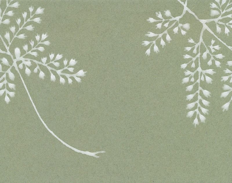 桂セレクションvol.2/からかみ　雲母集 - 信夫（しのぶ）