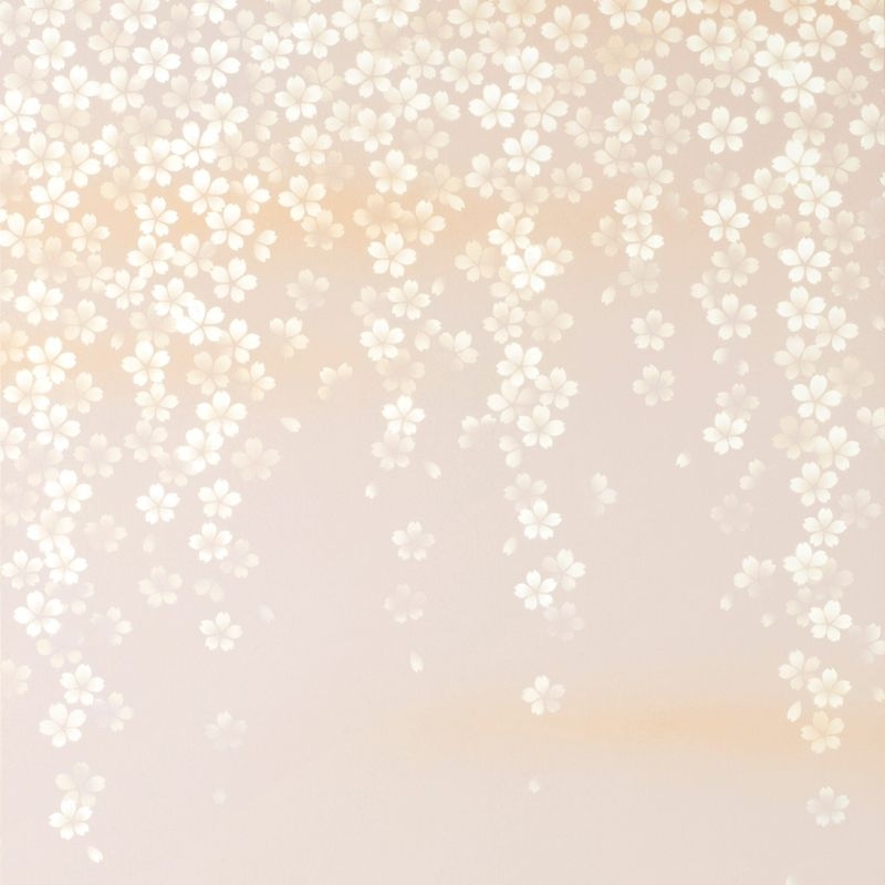 桂セレクションvol.2/花仙 - しだれ桜 B