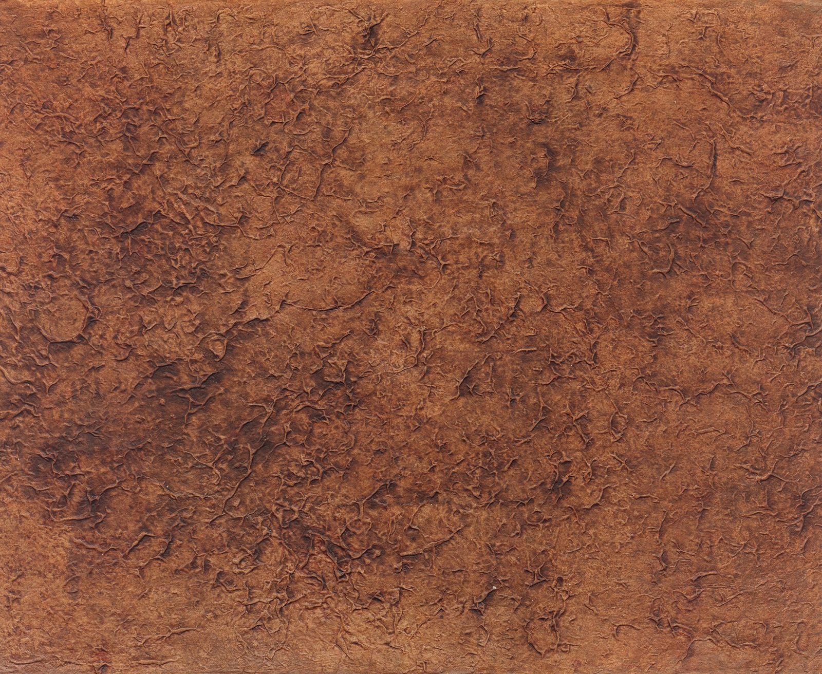 商品画像 1