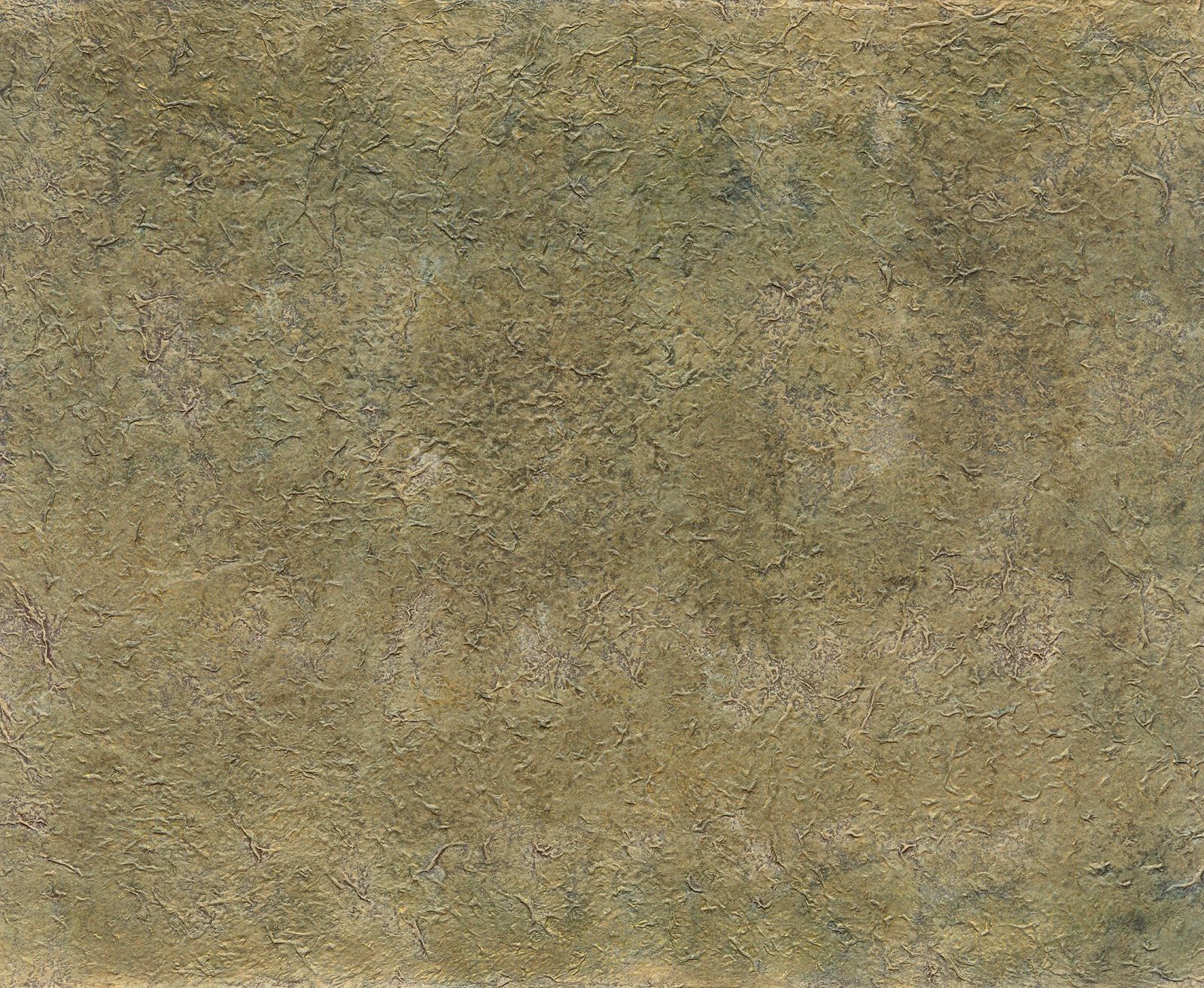 商品画像 1