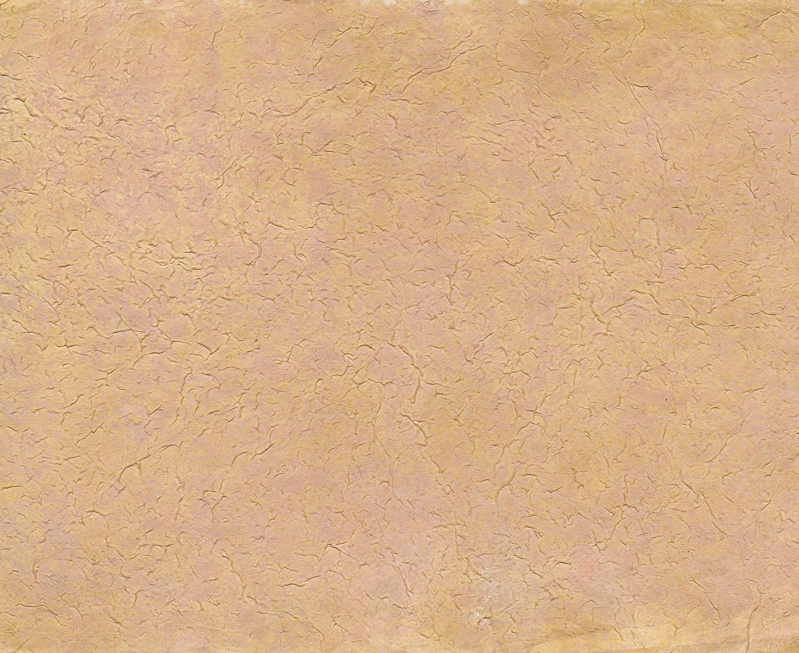 商品画像 1