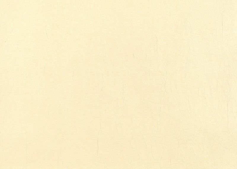 桂セレクションvol.2/各地の和紙 - 京和紙 もみ ぞうげ