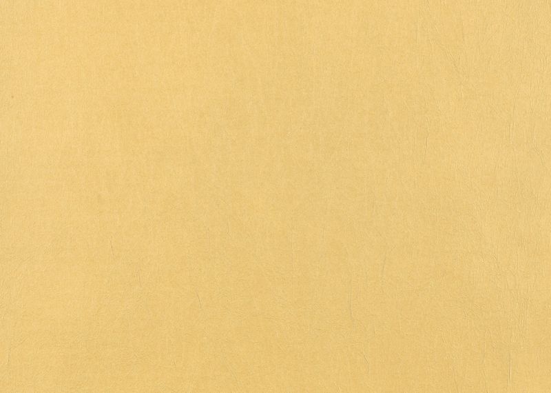 桂セレクションvol.2/各地の和紙 - 京和紙 もみ かれくさ