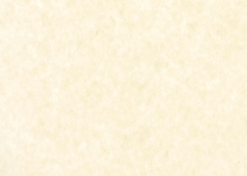 桂セレクションvol.2/各地の和紙 - 土佐和紙 未晒純楮紙