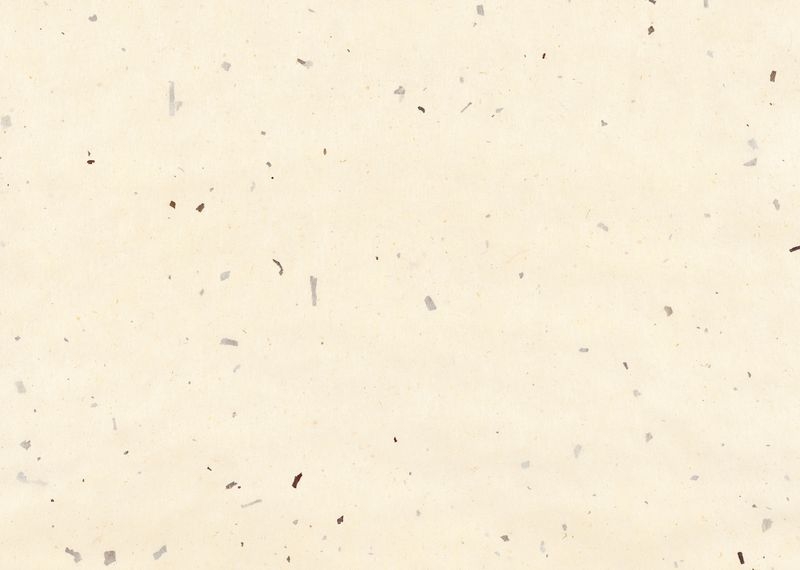 桂セレクションvol.2/各地の和紙 - 土佐和紙　皮入り純楮紙