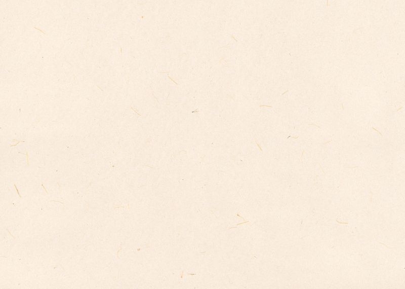 桂セレクションvol.2/各地の和紙 - 土佐和紙 わら入り紙