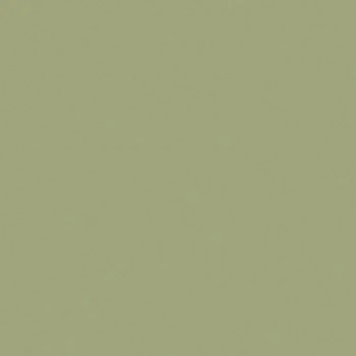 高意匠メラミン化粧板/LOUCA - アボカド