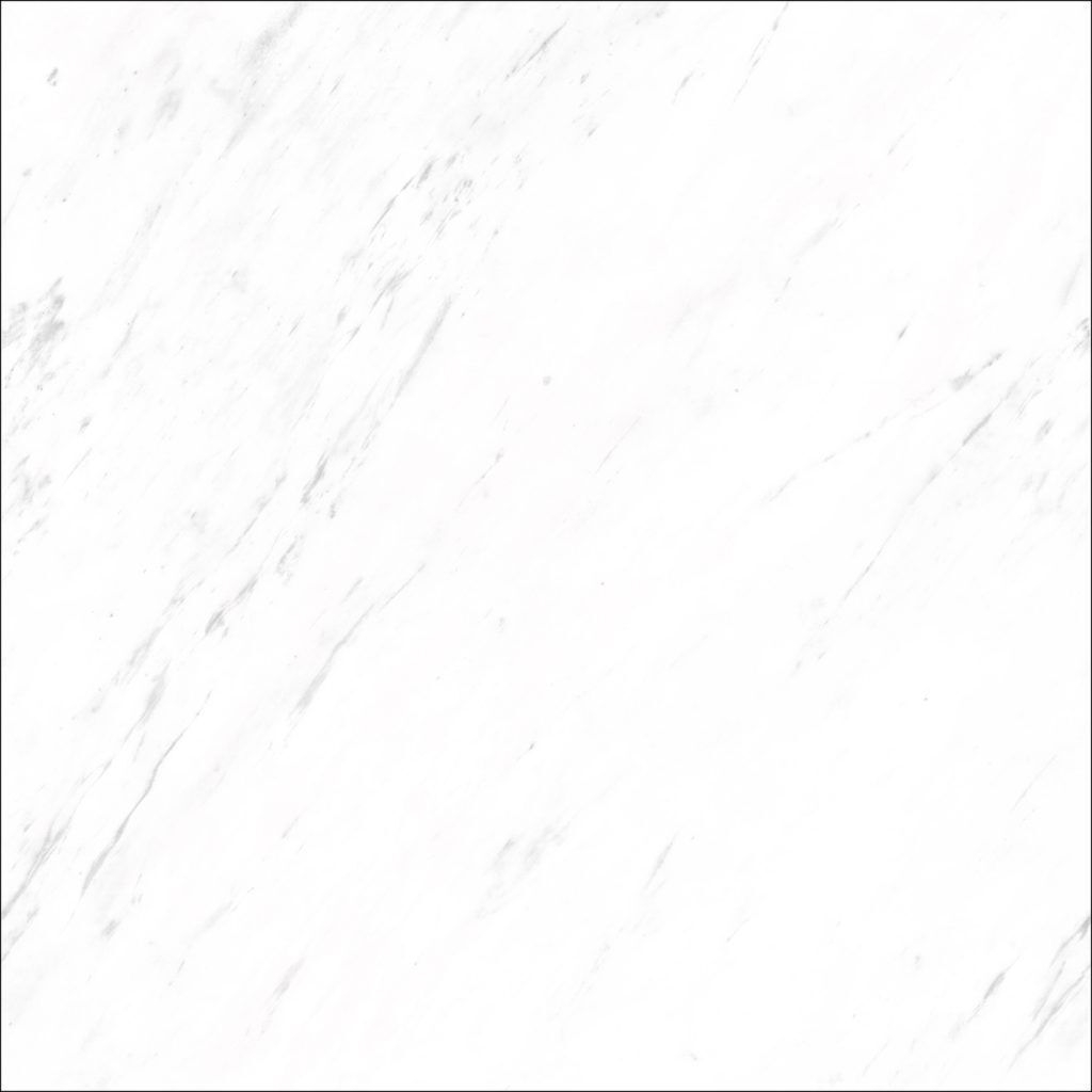 カンブリアン　600角