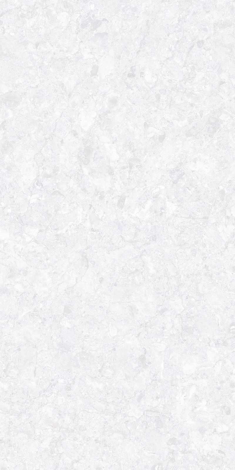 カンブリアン　1200×600角 - ホワイトマーフィル1200×600角磨き