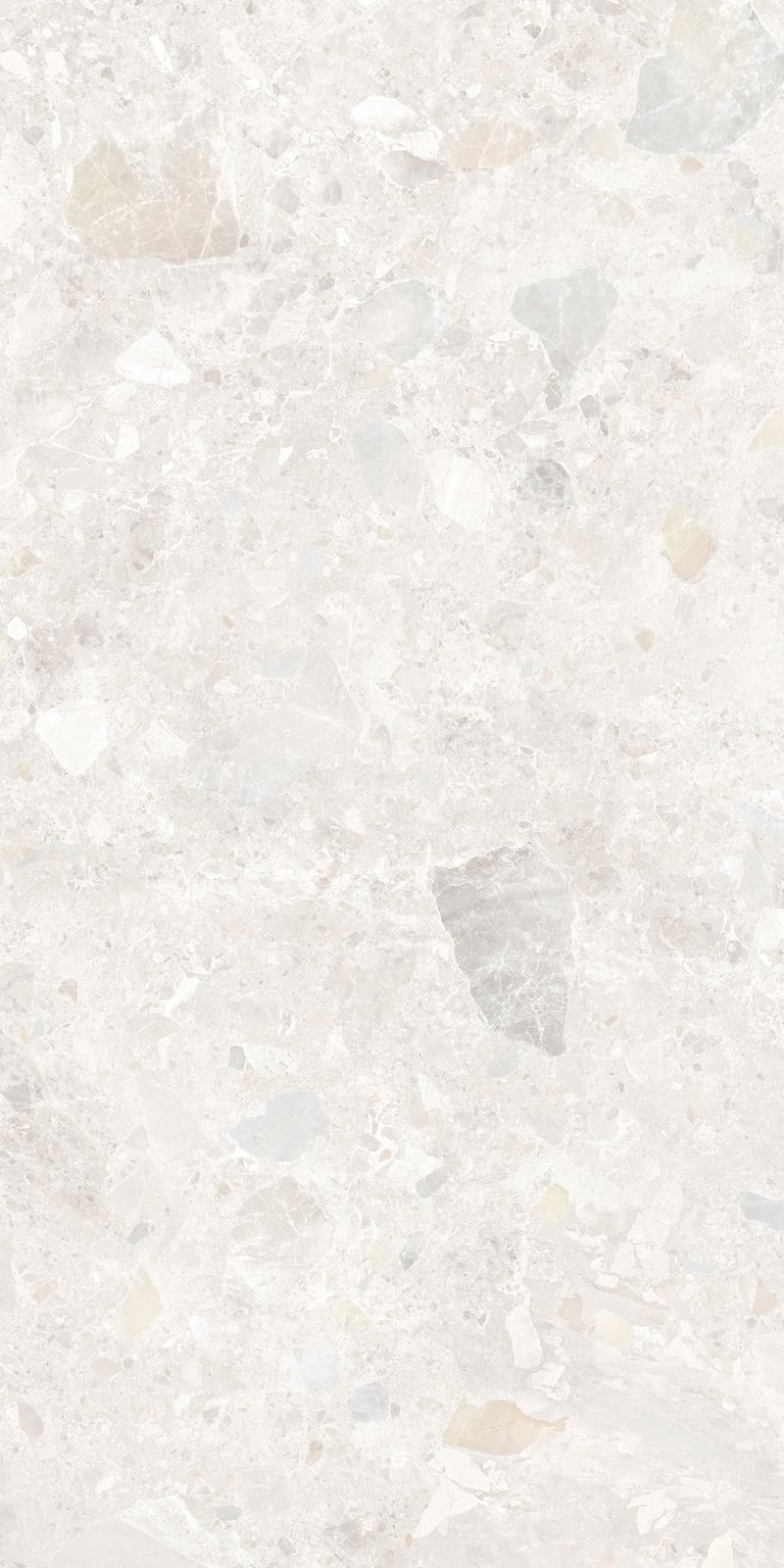 ロブスト - 1200×600角