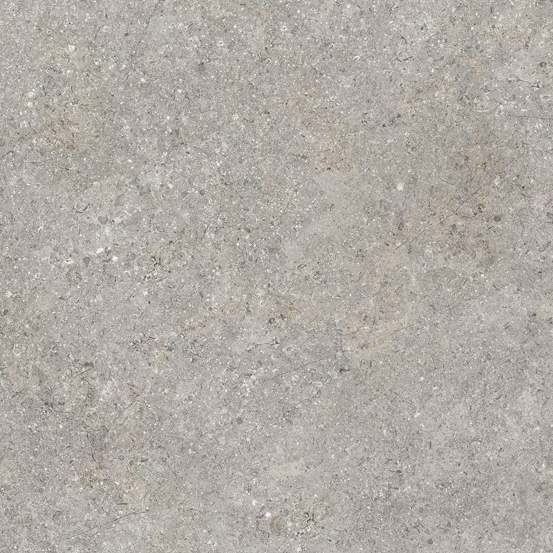 ライムス - TAUPEアンチスリップ600角