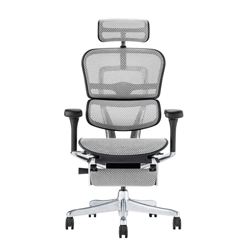 Ergohuman/PRO2 - Ergohuman PRO2 Ottoman (Black Frame/White Mesh)