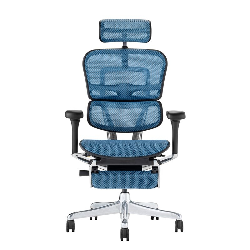 Ergohuman/PRO2 - Ergohuman PRO2 Ottoman (Black Frame/Blue Mesh)