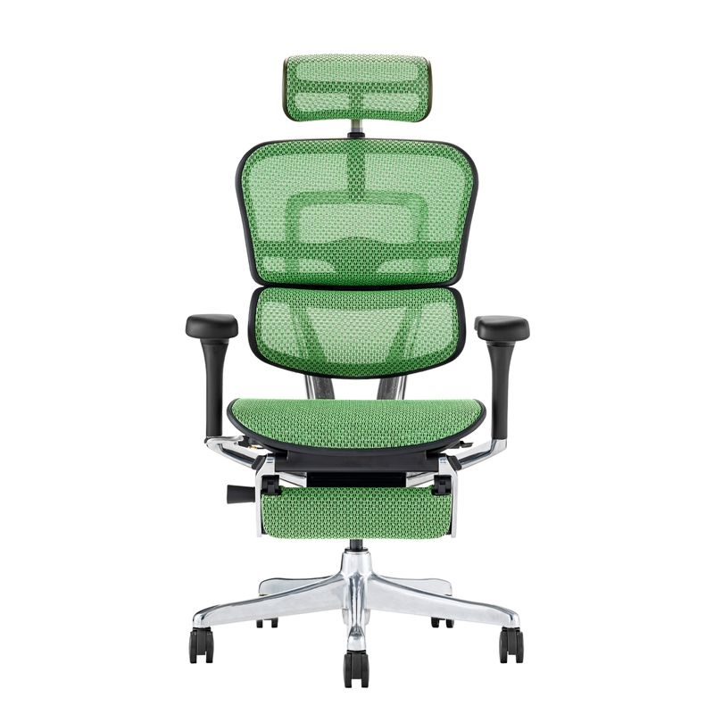 Ergohuman/PRO2 - Ergohuman PRO2 Ottoman (Black Frame/Green Mesh)