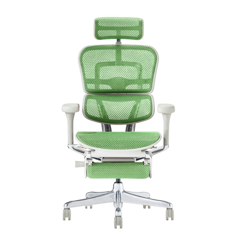 Ergohuman/PRO2 - Ergohuman PRO2 Ottoman (Gray Frame/Green Mesh)
