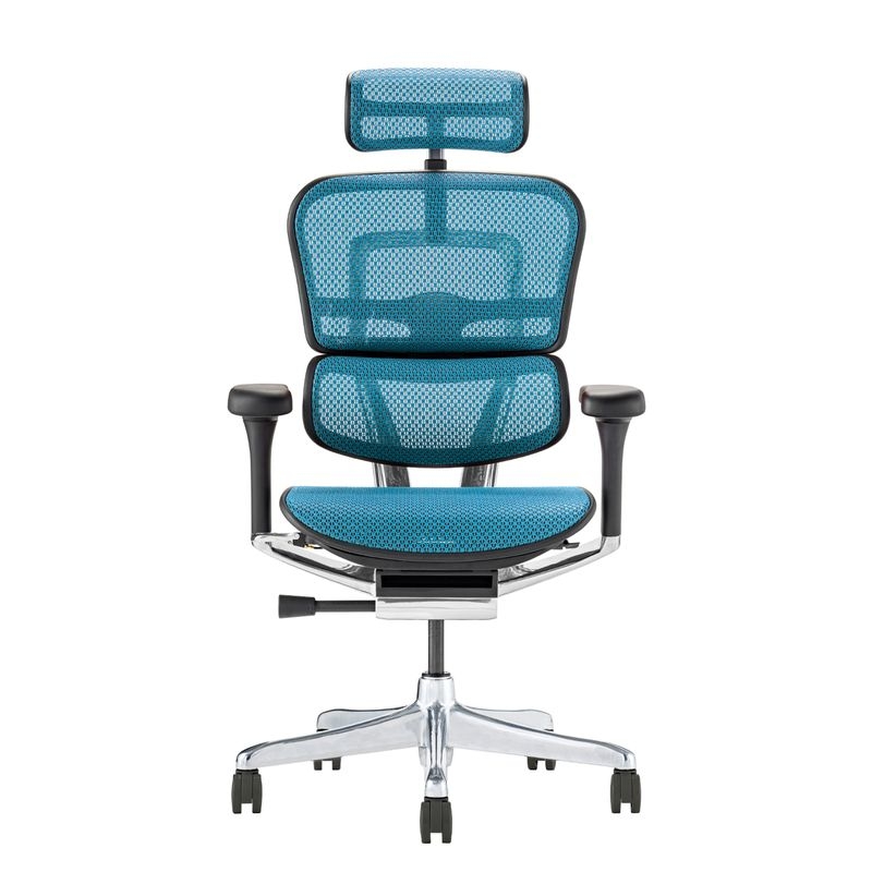 Ergohuman/PRO2 - Ergohuman PRO2 High (Black Frame/Blue Mesh)