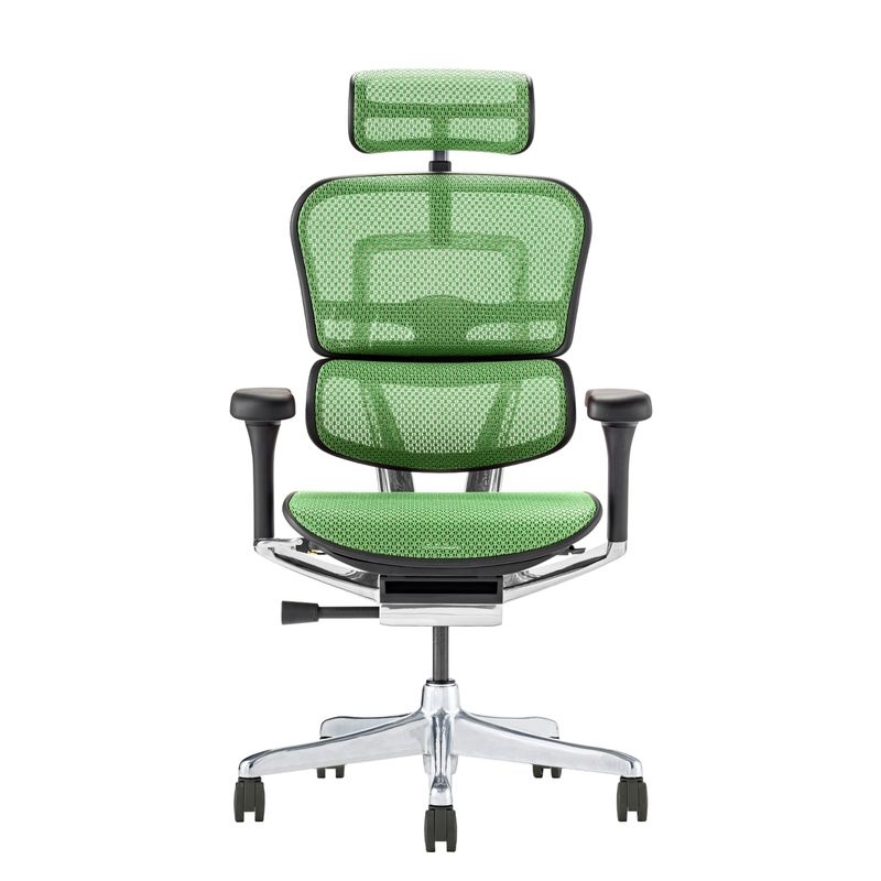 Ergohuman/PRO2 - Ergohuman PRO2 High (Black Frame/Green Mesh)
