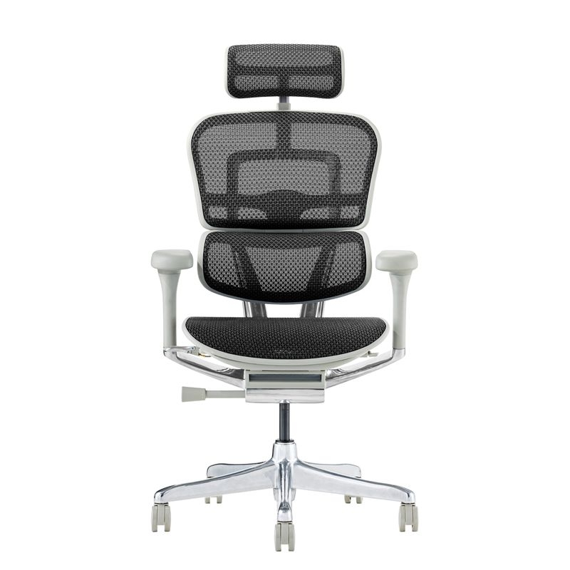 Ergohuman/PRO2 - Ergohuman PRO2 High (Gray Frame/Black Mesh)