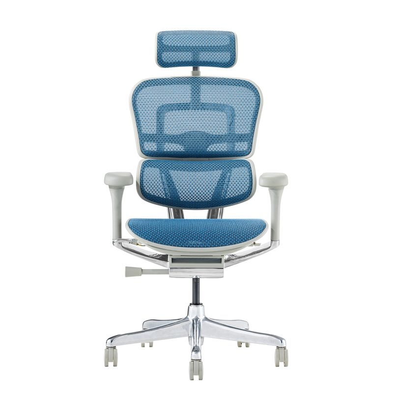 Ergohuman/PRO2 - Ergohuman PRO2 High (Gray Frame/Blue Mesh)