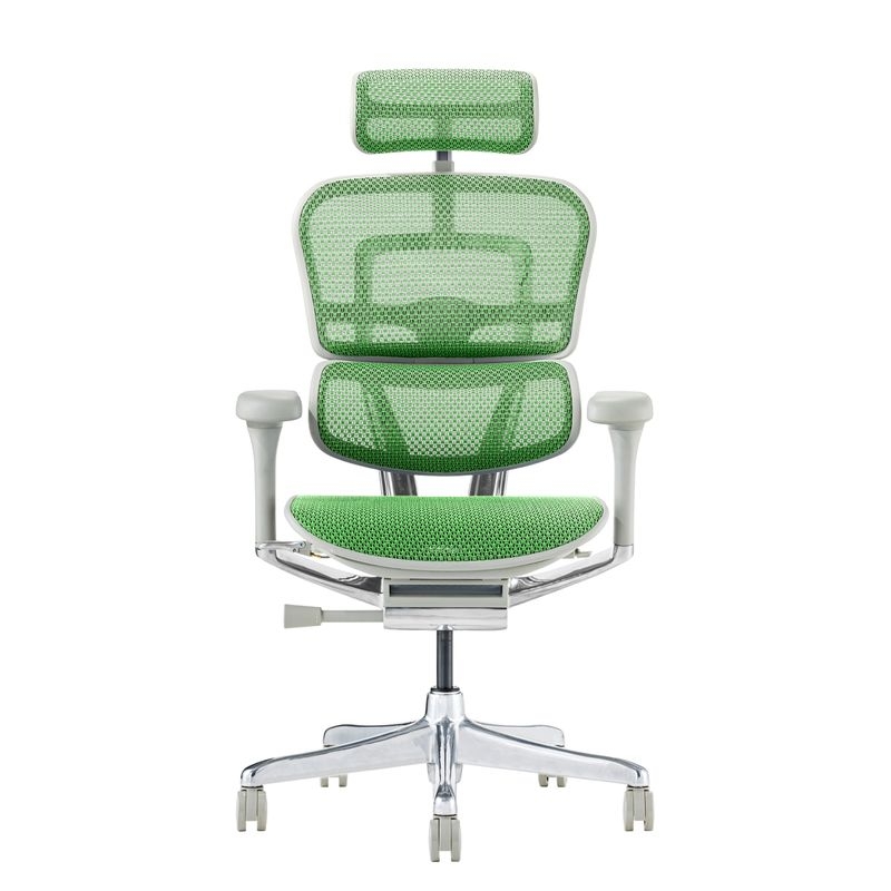 Ergohuman/PRO2 - Ergohuman PRO2 High (Gray Frame/Green Mesh)
