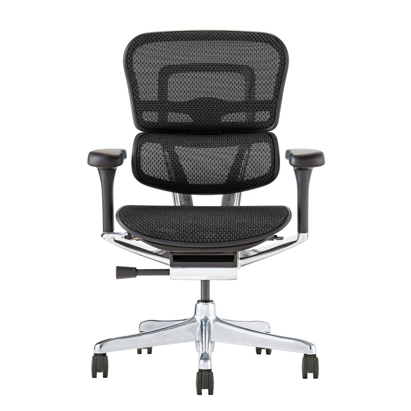 Ergohuman/PRO2 - Ergohuman PRO2 Low (Black Frame/Black Mesh)
