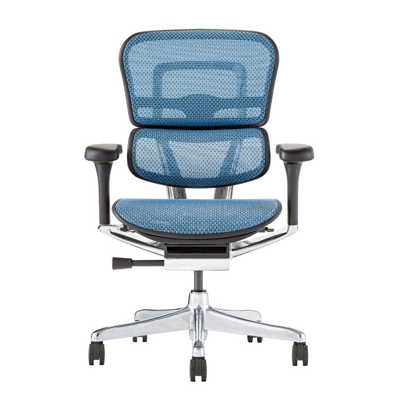 Ergohuman/PRO2 - Ergohuman PRO2 Low (Black Frame/Blue Mesh)