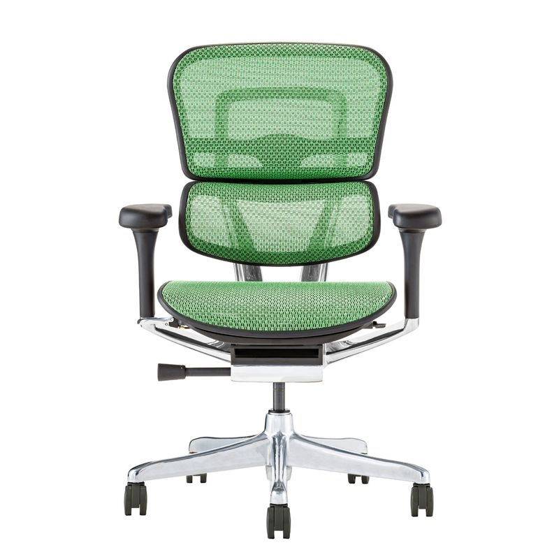 Ergohuman/PRO2 - Ergohuman PRO2 Low (Black Frame/Green Mesh)
