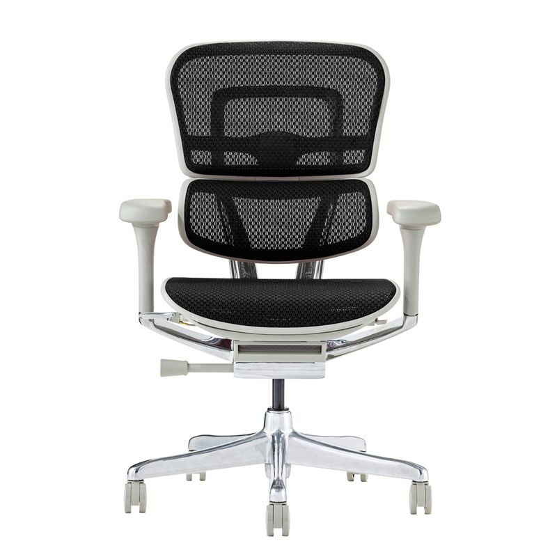 Ergohuman/PRO2 - Ergohuman PRO2 Low (Gray Frame/Black Mesh)