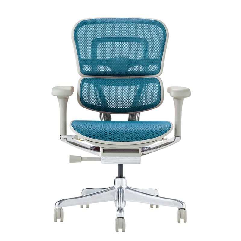 Ergohuman/PRO2 - Ergohuman PRO2 Low (Gray Frame/Blue Mesh)