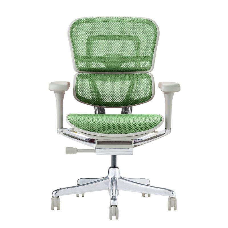 Ergohuman/PRO2 - Ergohuman PRO2 Low (Gray Frame/Green Mesh)