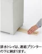 サムネイル 2
