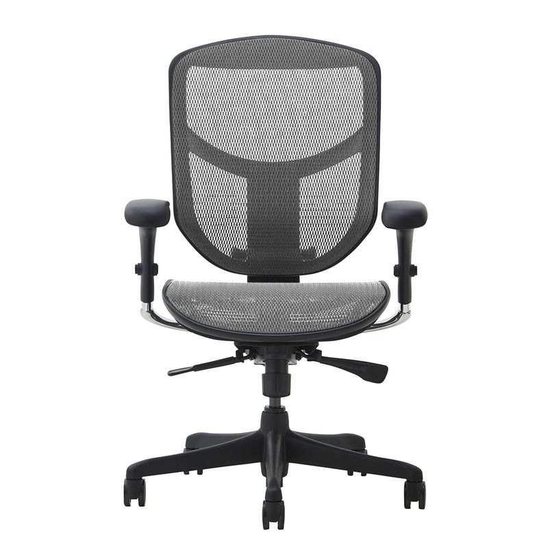 Ergohuman/ENJOY ToBe2 - Ergohuman ENJOY ToBe2 +Armrest (Gray Mesh)