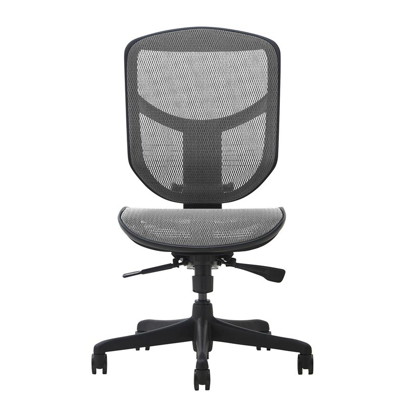 Ergohuman/ENJOY ToBe2 - Ergohuman ENJOY ToBe2 (Gray Mesh)